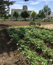 Le Jardin Adelis image 4