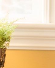 Always Best Care Senior Services - Home Care Services in Newport Beach image 6