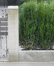 Mathis Gartenpflege und Gestaltung GmbH Bild 1