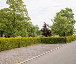 FriedWald Ohetal Bild 7