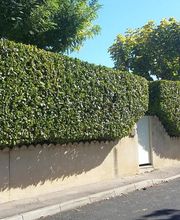 Espaces Verts Jean-Baptiste Torres image 1