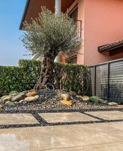 C.L. Giardini Bild 5