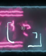 Panta Rei Events imagen 4