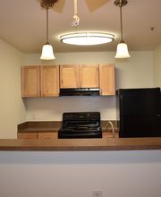 Waterloo Place Apartments image 13