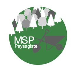 Msp