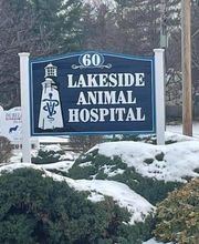 Lakeside Animal Hospital image 2