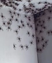 AVH-Conseil image 10