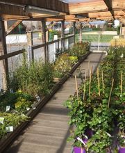 Jardinerie André image 18