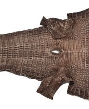 Caiman Peanut