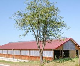 Holzbau Mayle GmbH Bild 5