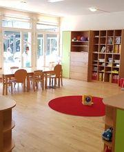 Kita Schmetterling Bild 2