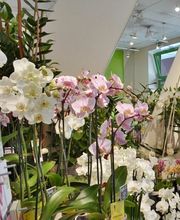 Terre De Couleurs image 4