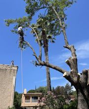 Elag'Art et Jardins image 8