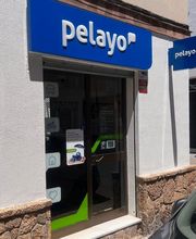 Oficina Seguros Pelayo imagen 2