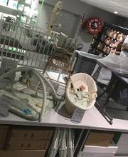 Orchestra ANTHY SUR LEMAN image 2