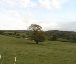 Dom'immo image 15