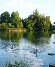 Aura Tagespflege Vogelstang Bild 18