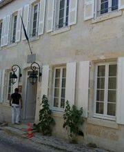 Shad Peinture image 14