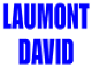 Laumont David