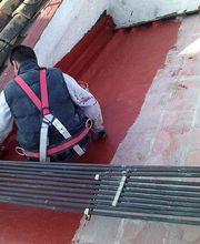 SanReforma imagen 4