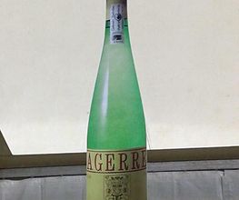 TxakoliAgerre1.jpg