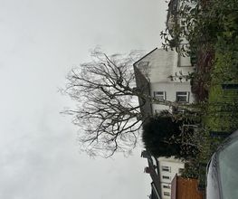 IMG_3327.jpeg