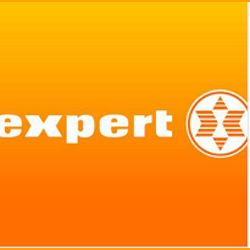 Expert