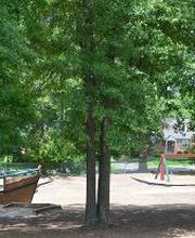 Skipwith Academy at Forest Avenue image 10