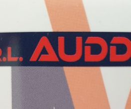 Auddino MV image 3