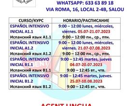 Agent Lingua imagen 2