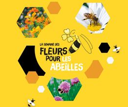 Le Tournesol image 20