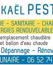 Pestel Mickael image 3