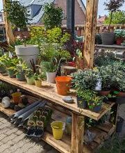 Raiffeisen-Markt Burlo Bild 2