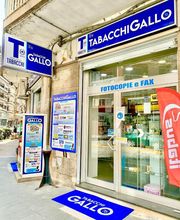 Gallery Cliente