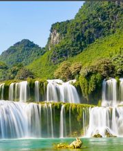 Médecine Traditionnelle Chinoise HAN Sàrl Bild 2