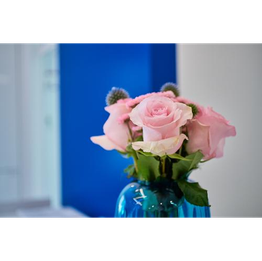 Fachzahnärztinnen Kieferorthopädie Birgitta Tschiche & angest. Kieferorthopädin Dr. Pia Freimann