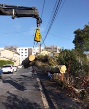 Beaudout Raphael image 6