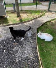 Résidence La Girarde Bild 13