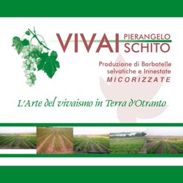 Vivaischito logo