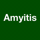 Amyitis
