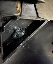 insectacon Schädlingsbekämpfung Bild 5