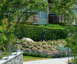 Wittwer Blumen Gartenbau AG Bild 2