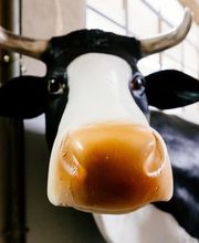 boucherie charcuterie de la côte Sàrl Bild 1