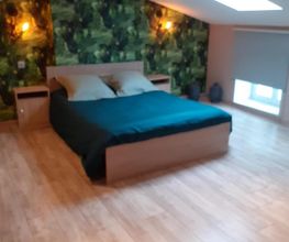 Pro Platre Batiment image 4