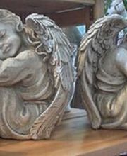 Blumenhaus Frankenstein Bild 2