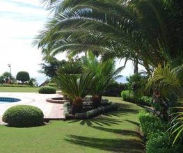 Fantastic Gardens imagen 9