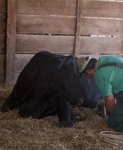 Spoon River Animal Clinic image 9