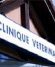 Trinite Karine image 1