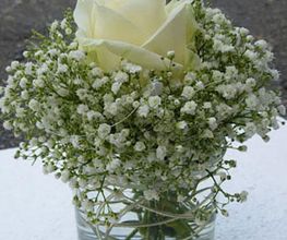 Blumen Steinhilber Weiden Bild 14