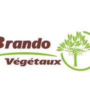 Brando Végétaux image 1